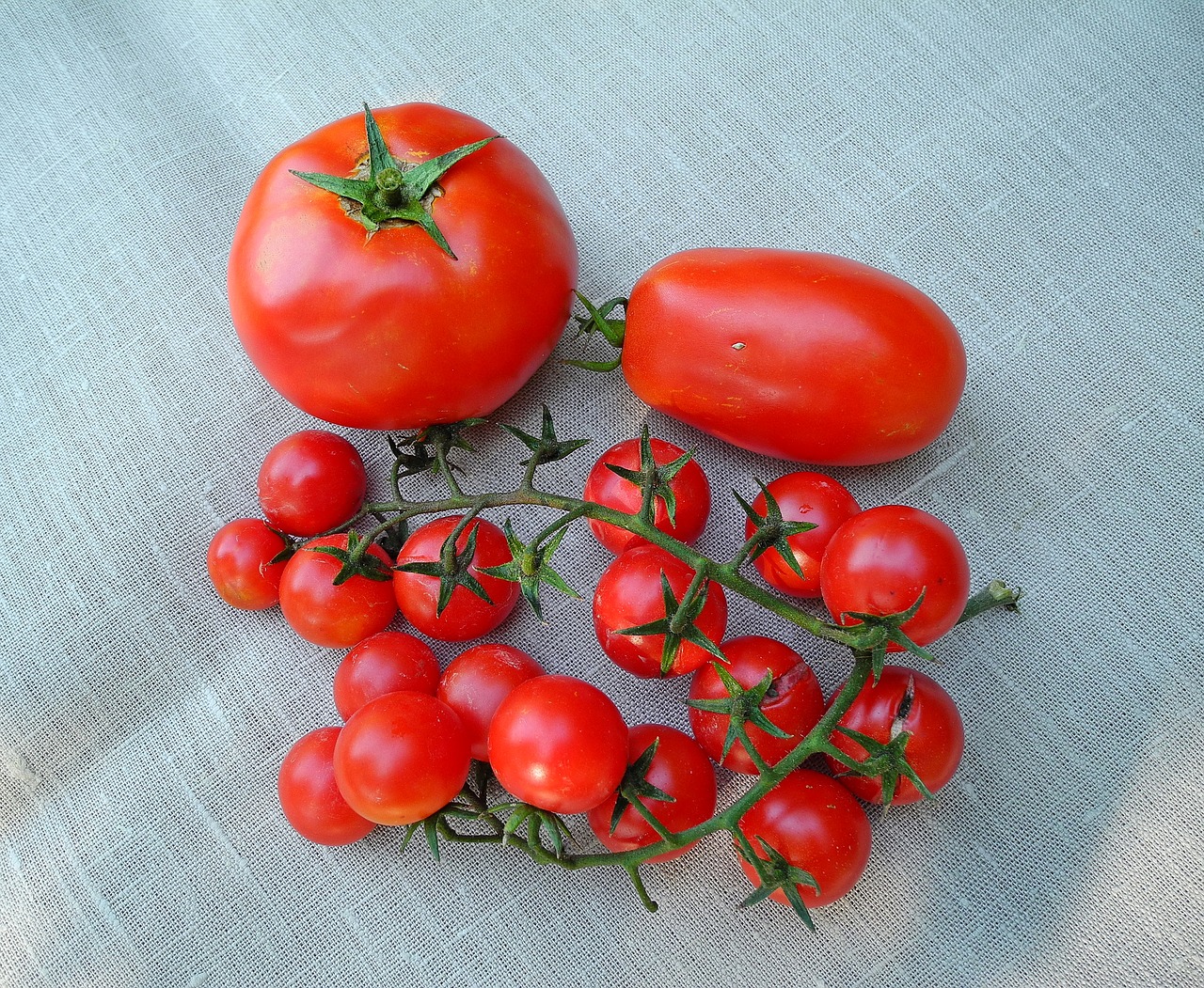 tomatoes vegetables red free photo