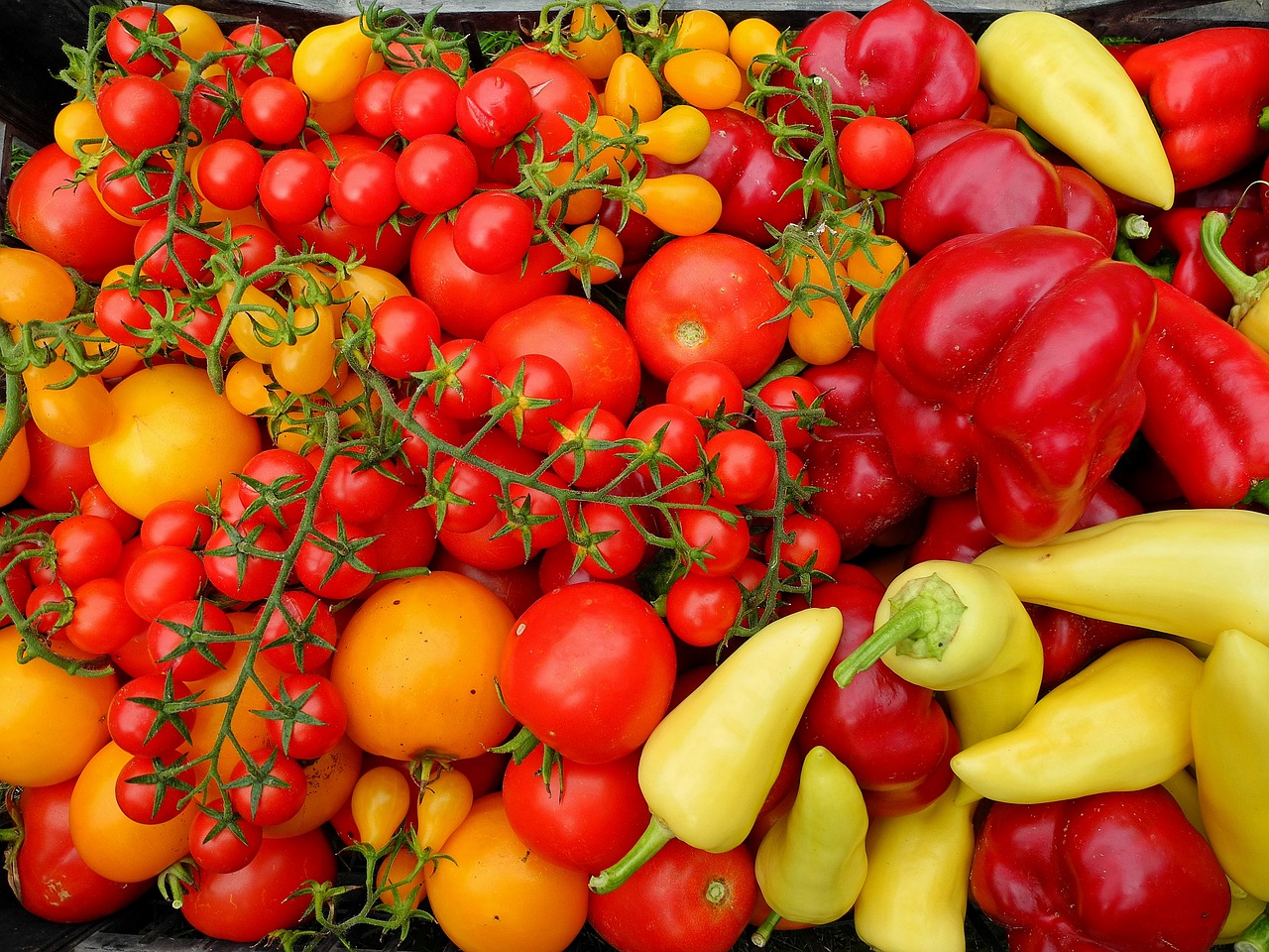 tomatoes pepper vegetables free photo