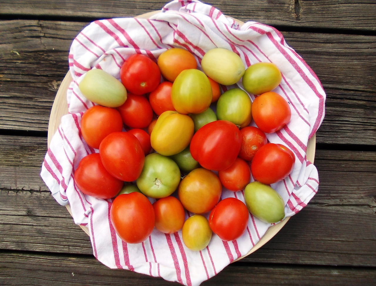 tomatoes autumn eat free photo