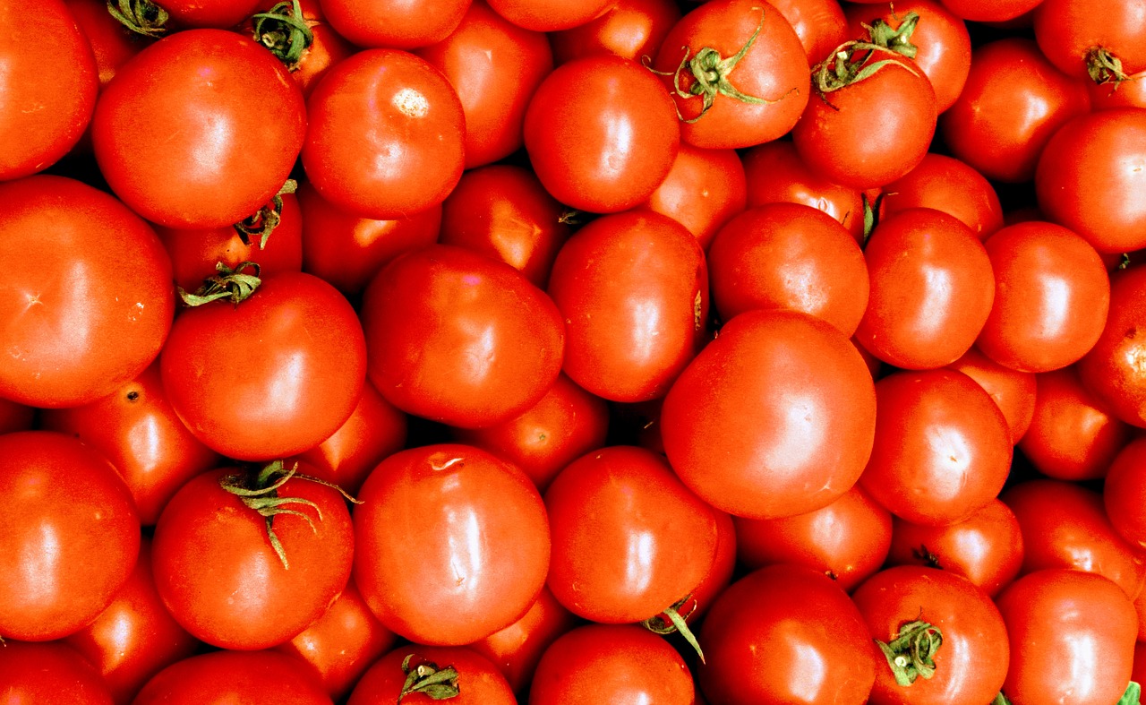 tomatoes vegetables fresh free photo