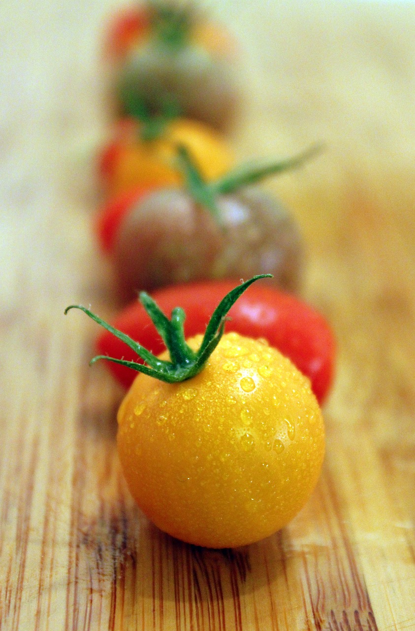 tomatoes yellow vegetables free photo