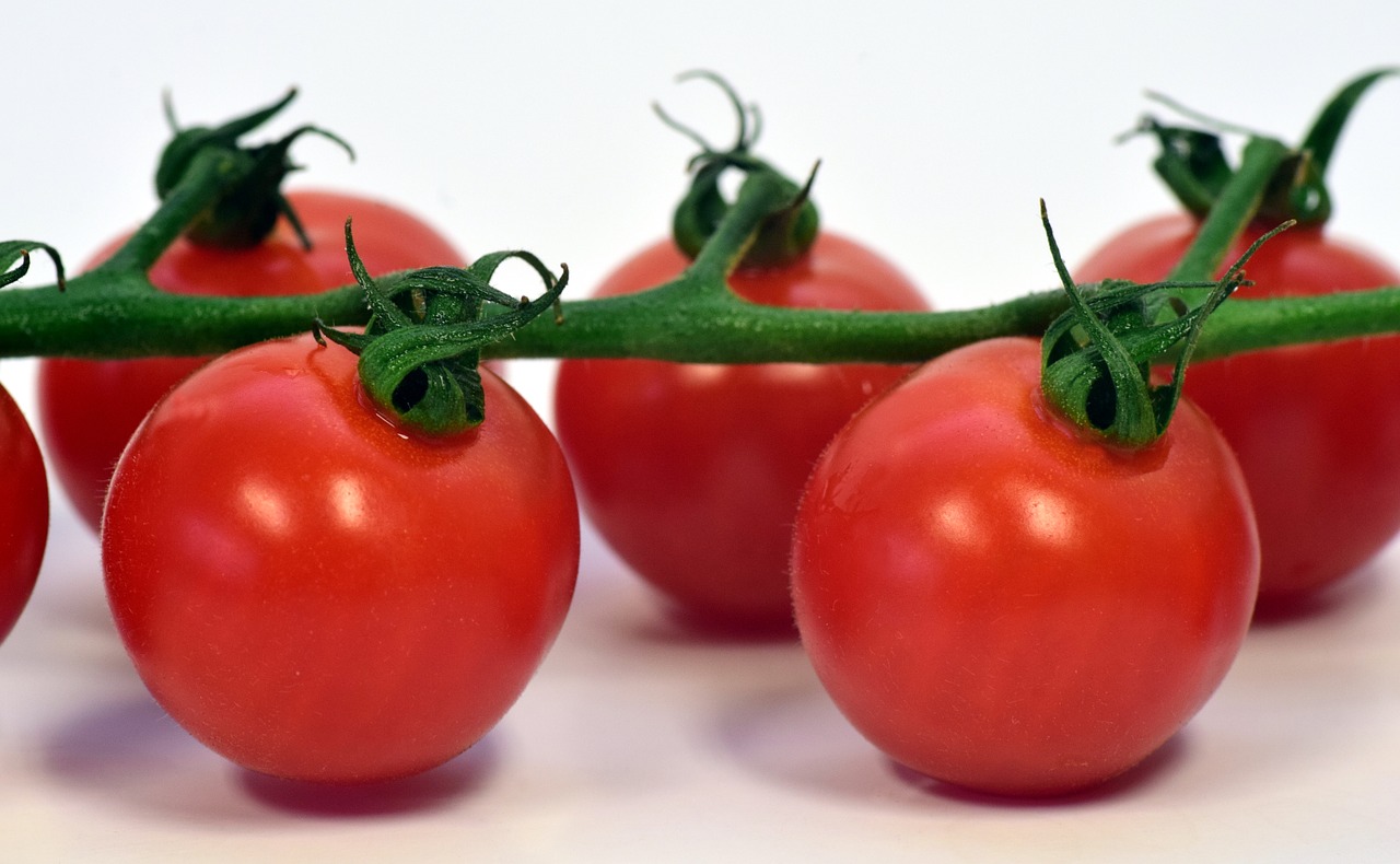 tomatoes frisch food free photo