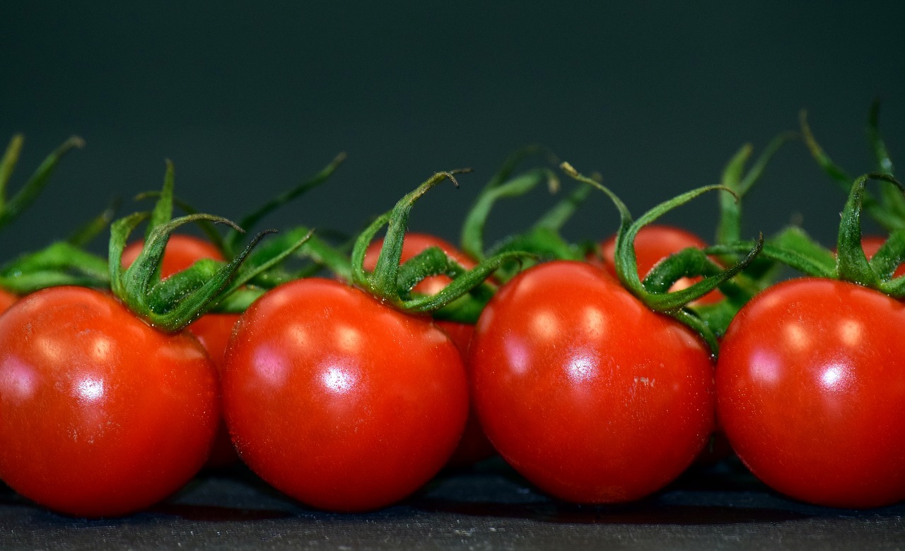 tomatoes perennials tomatoes panicle free photo