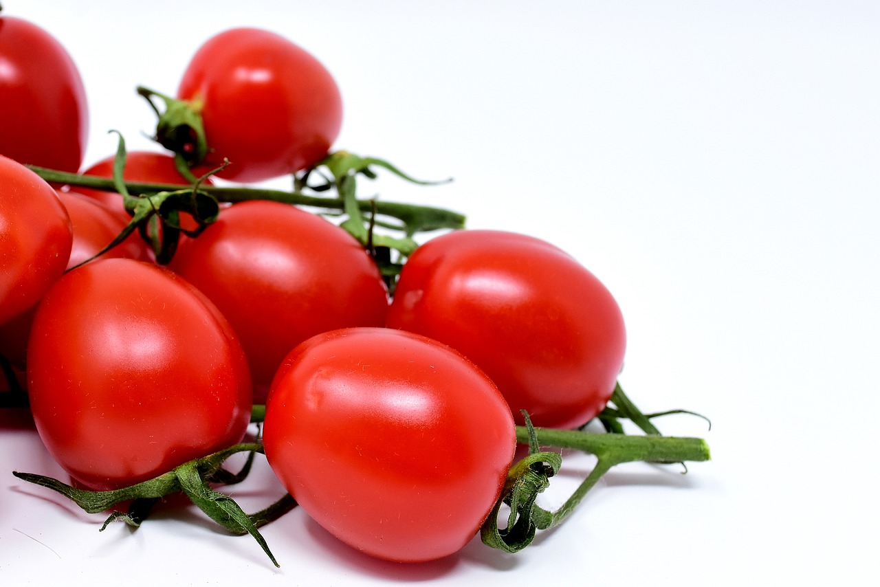 tomatoes trusses red free photo