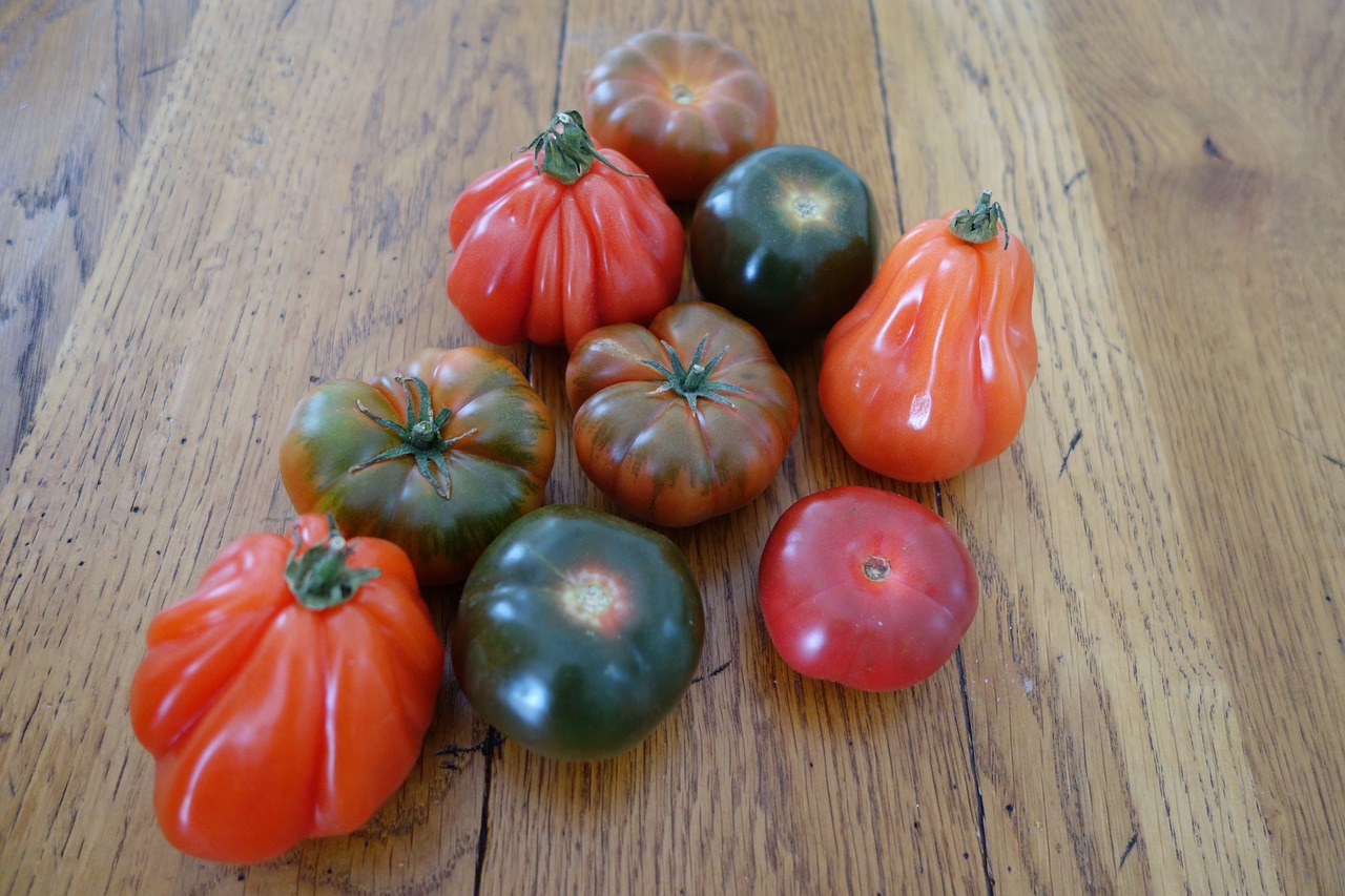 tomatoes  rare varieties  vegetables free photo