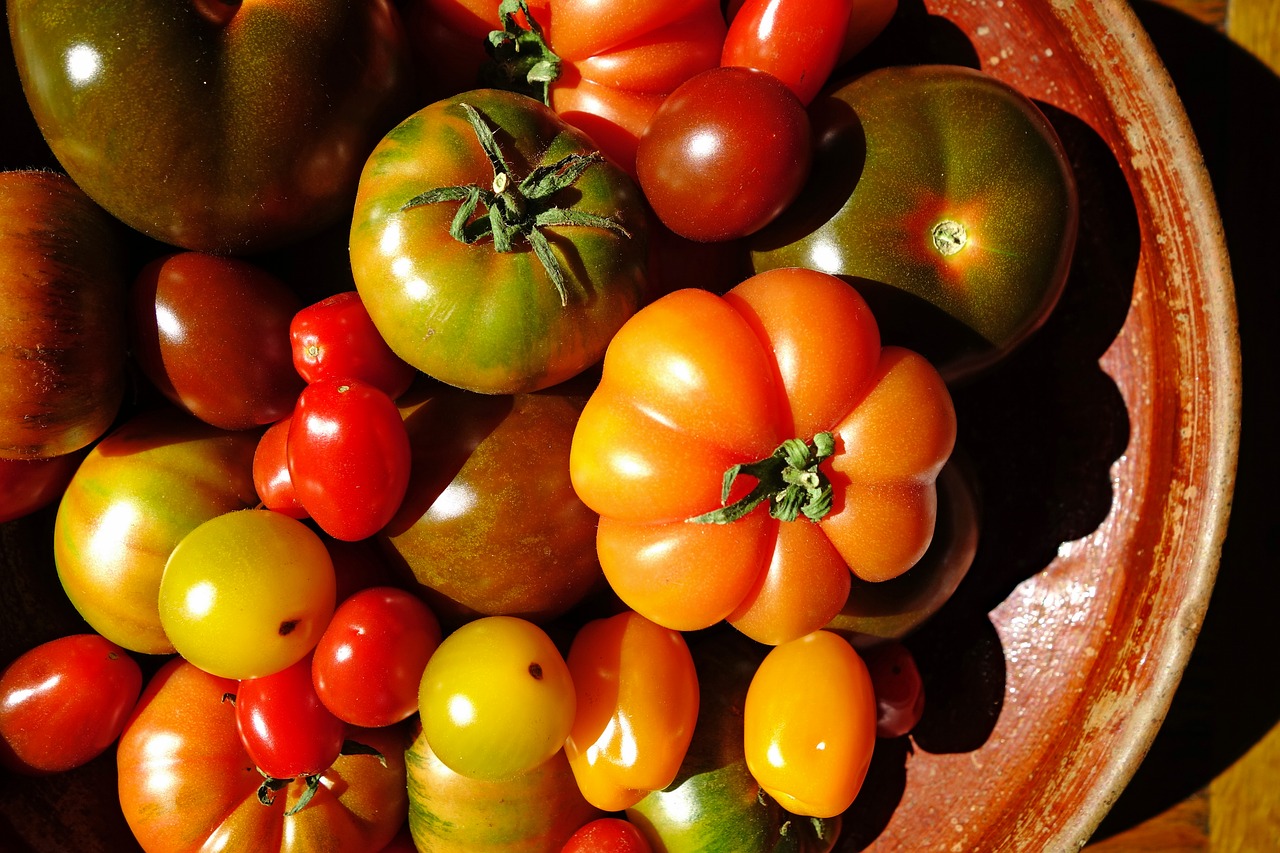 tomatoes  tomato  rare varieties free photo