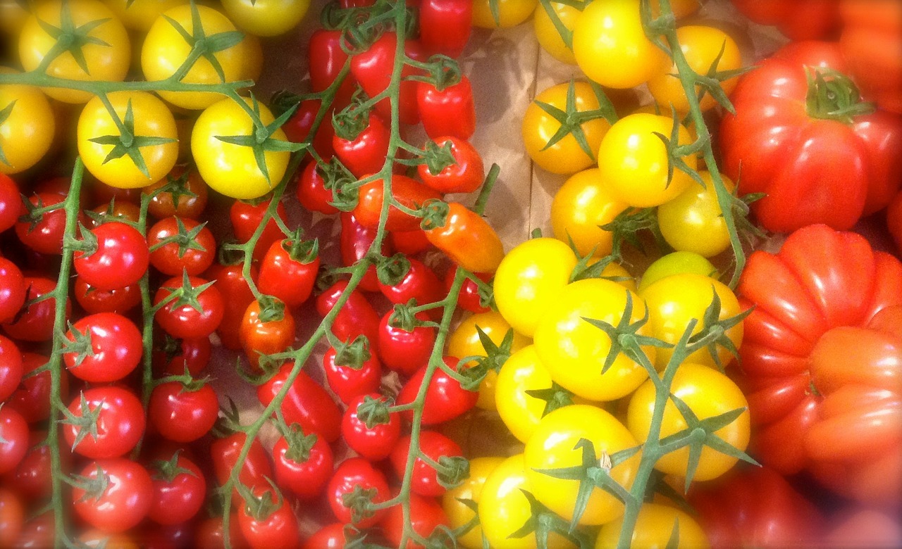 tomatoes peppers vegetables free photo