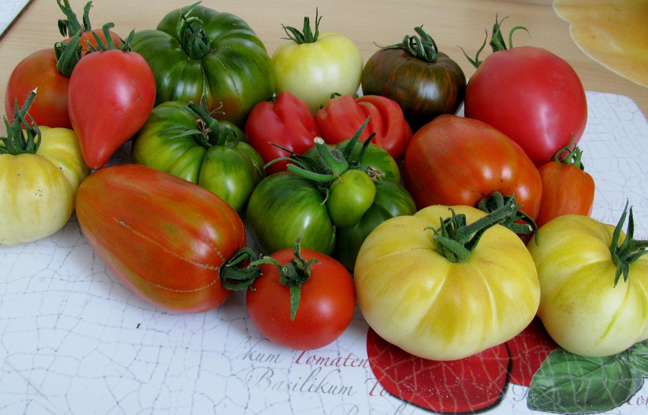 tomatoes  diversity  vegetables free photo