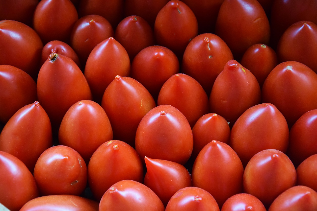 tomatoes  red  vegetables free photo