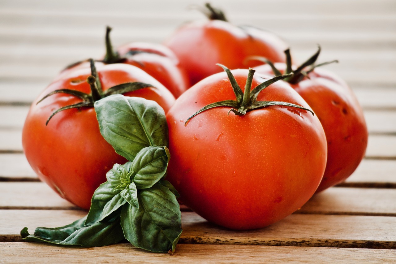 tomatoes  basil  food free photo