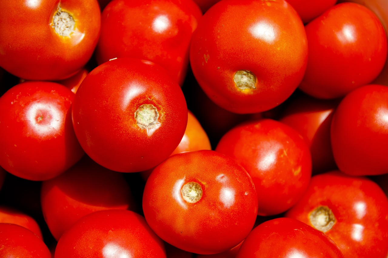 tomatoes  vegetables  nutrition free photo