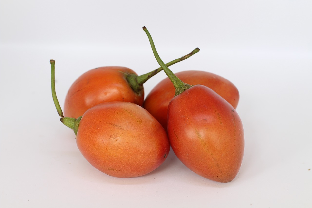 tomatoes  tropical  vegetable free photo