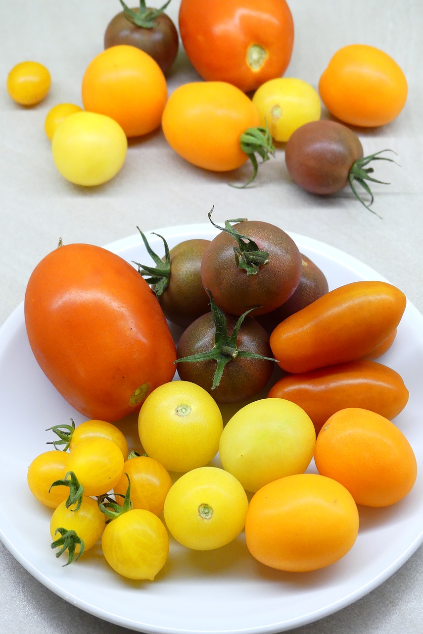 tomatoes  harvest  garden free photo