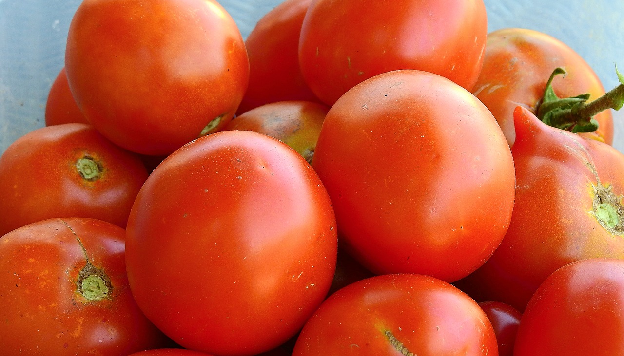 tomatoes  food  vegetables free photo