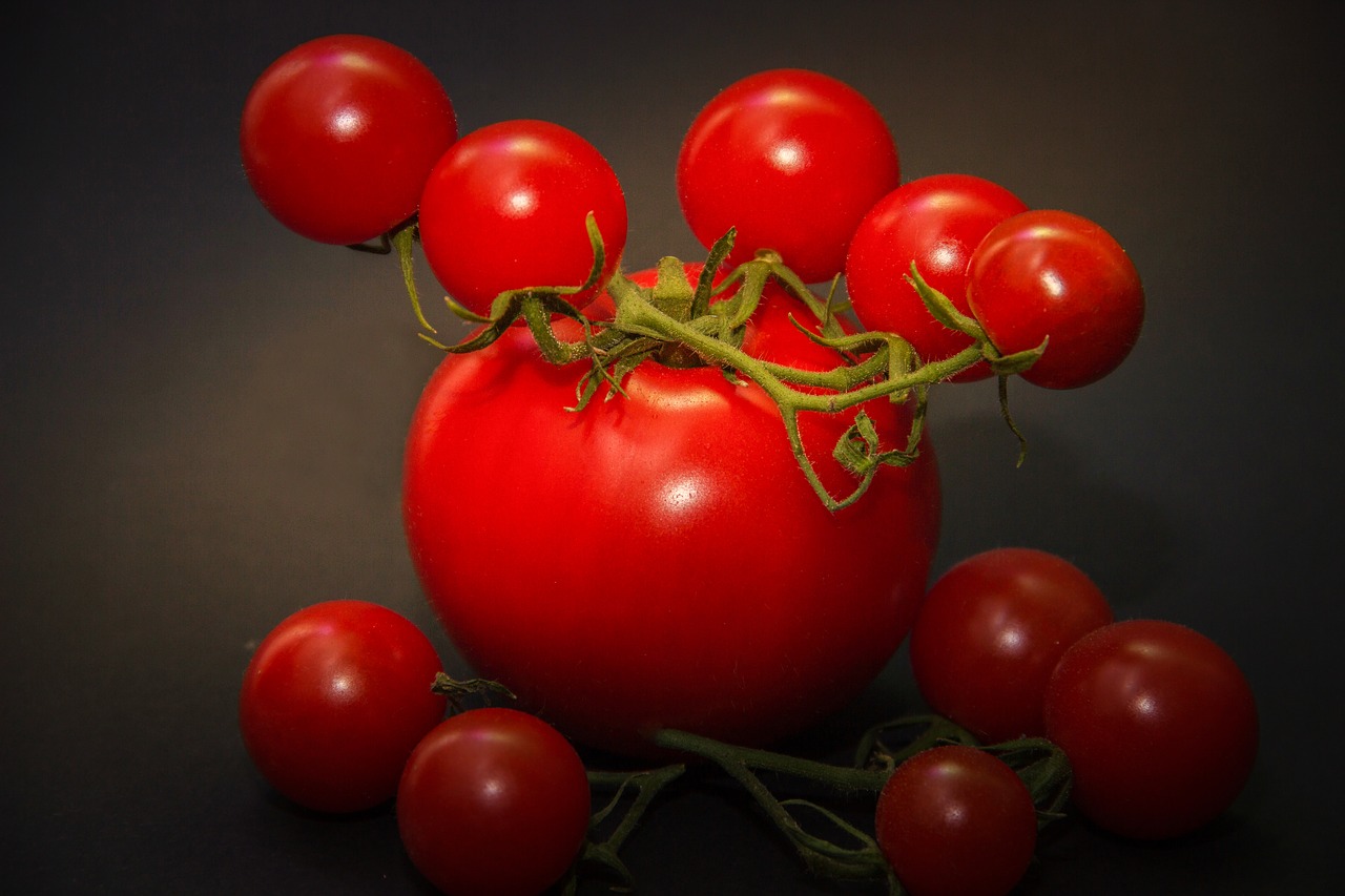 tomatoes  red  green free photo