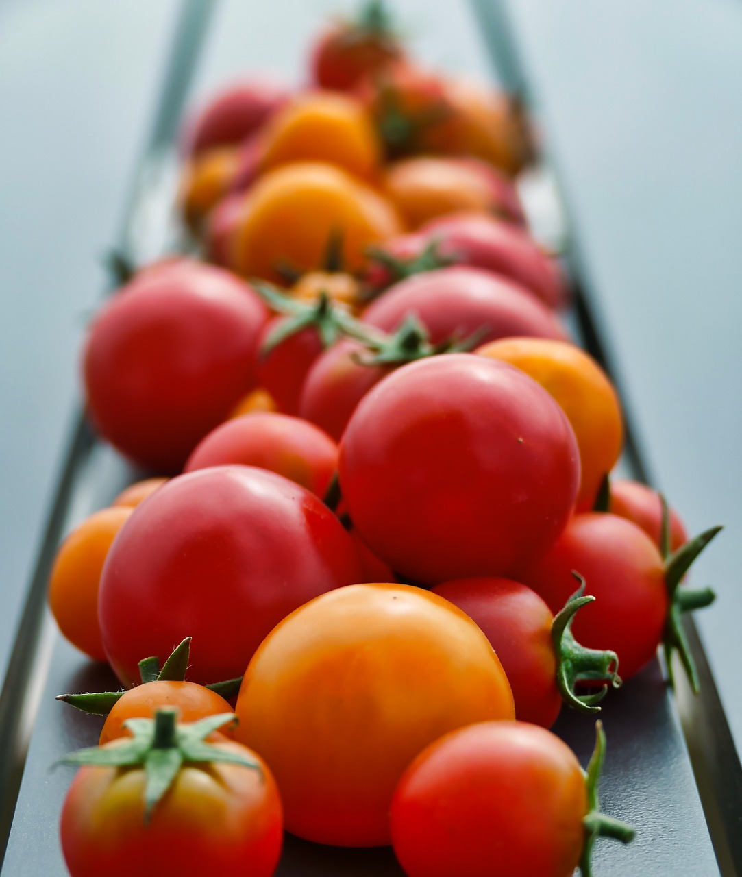 tomatoes  red  vegetables free photo