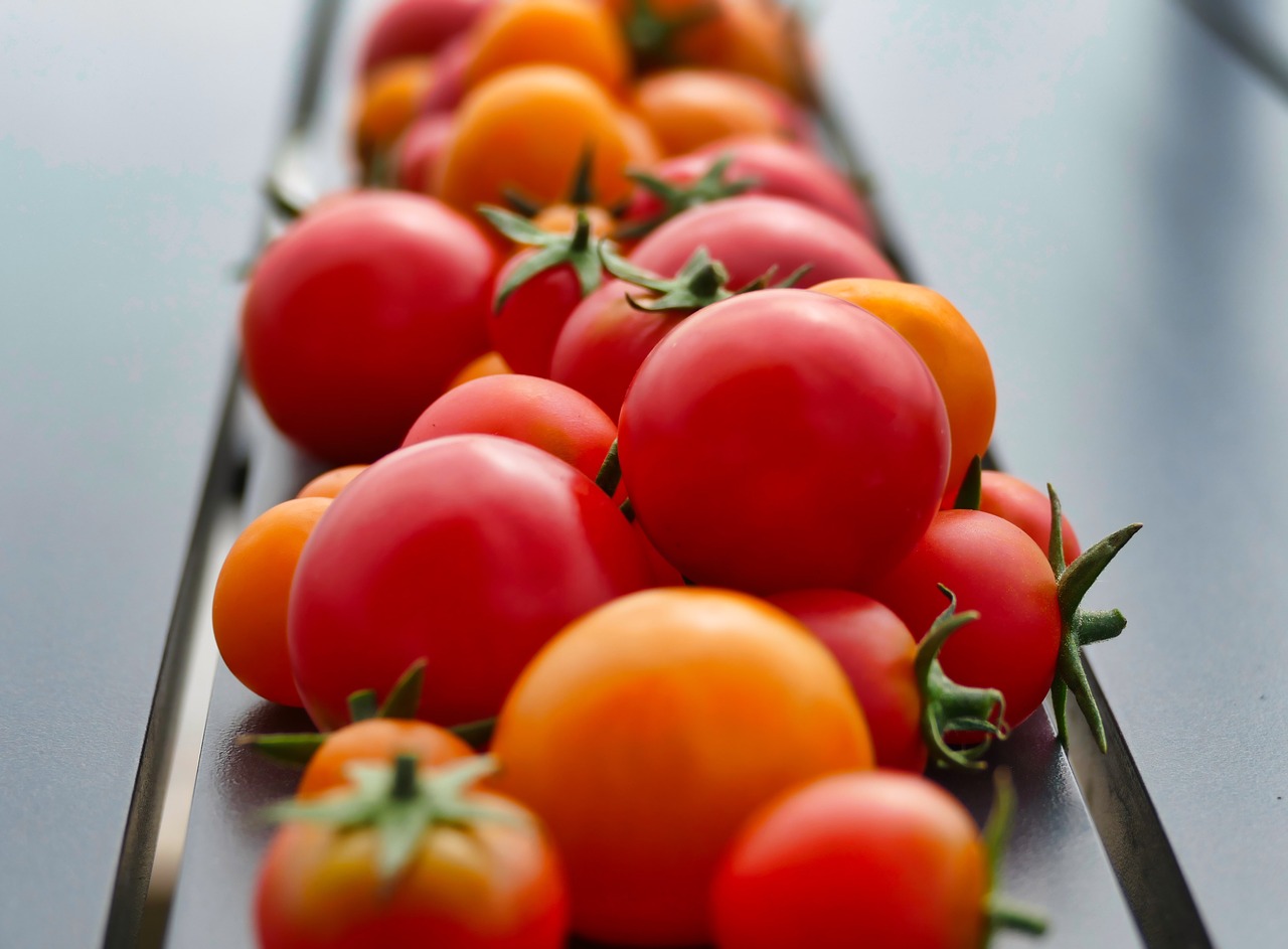 tomatoes  red  vegetables free photo