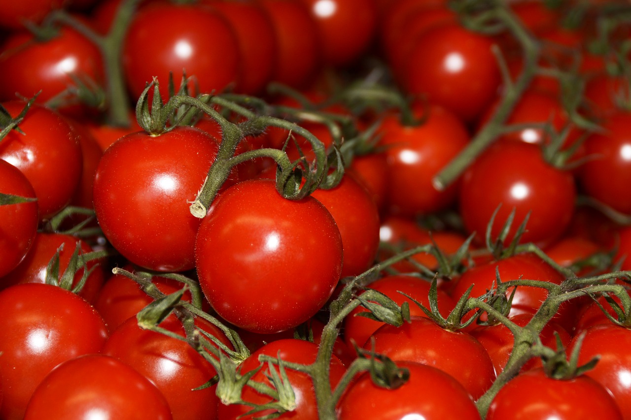 tomatoes  vegetables  food free photo