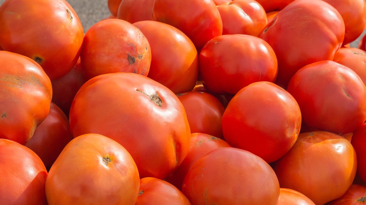 tomatoes  fruit  food free photo