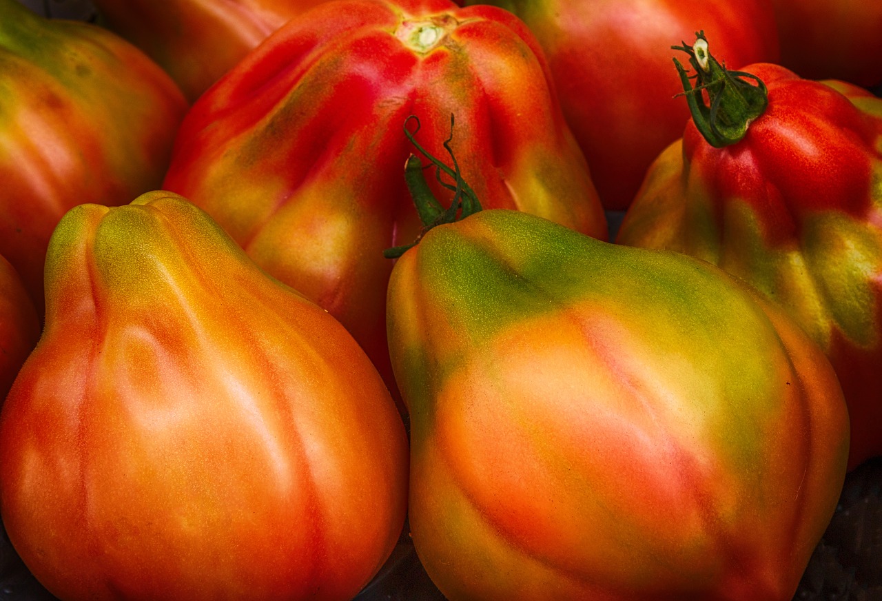 tomatoes  red  food free photo