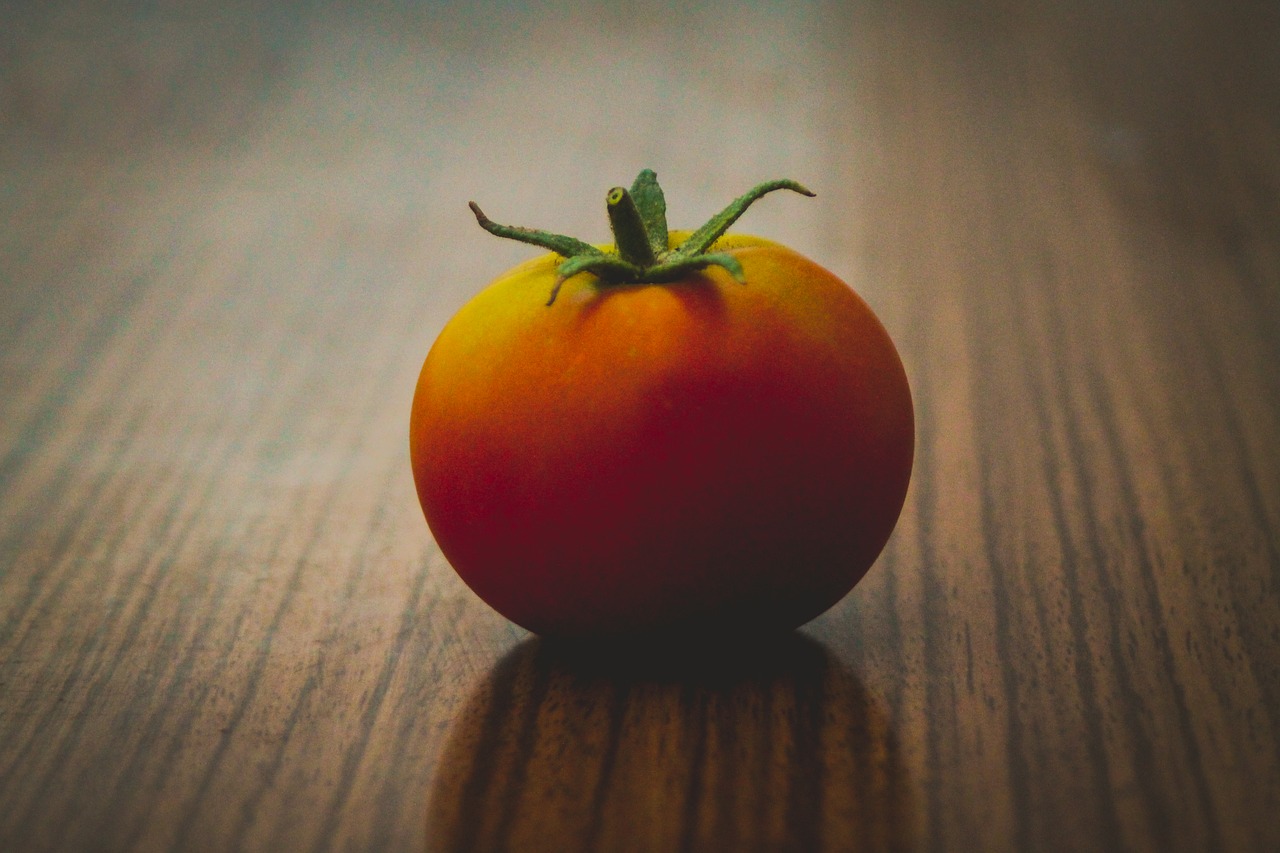 tomatoes  twilight  vegetables free photo