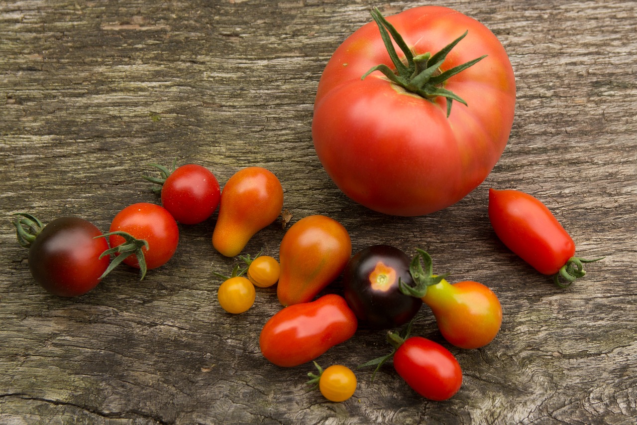tomatoes  tomato  vegetables free photo