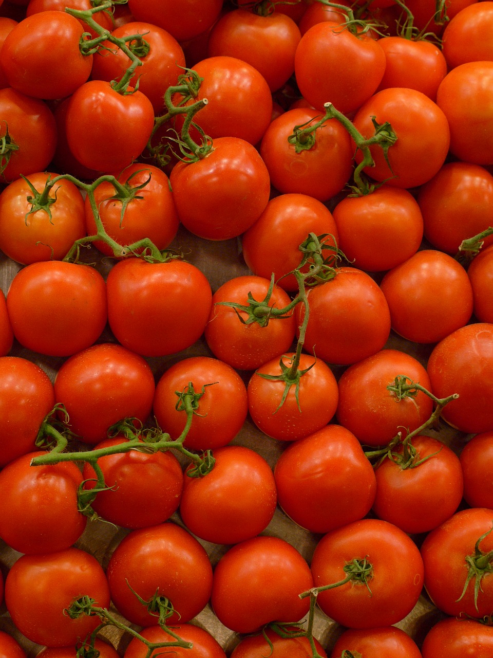 tomatoes  food  fruit free photo