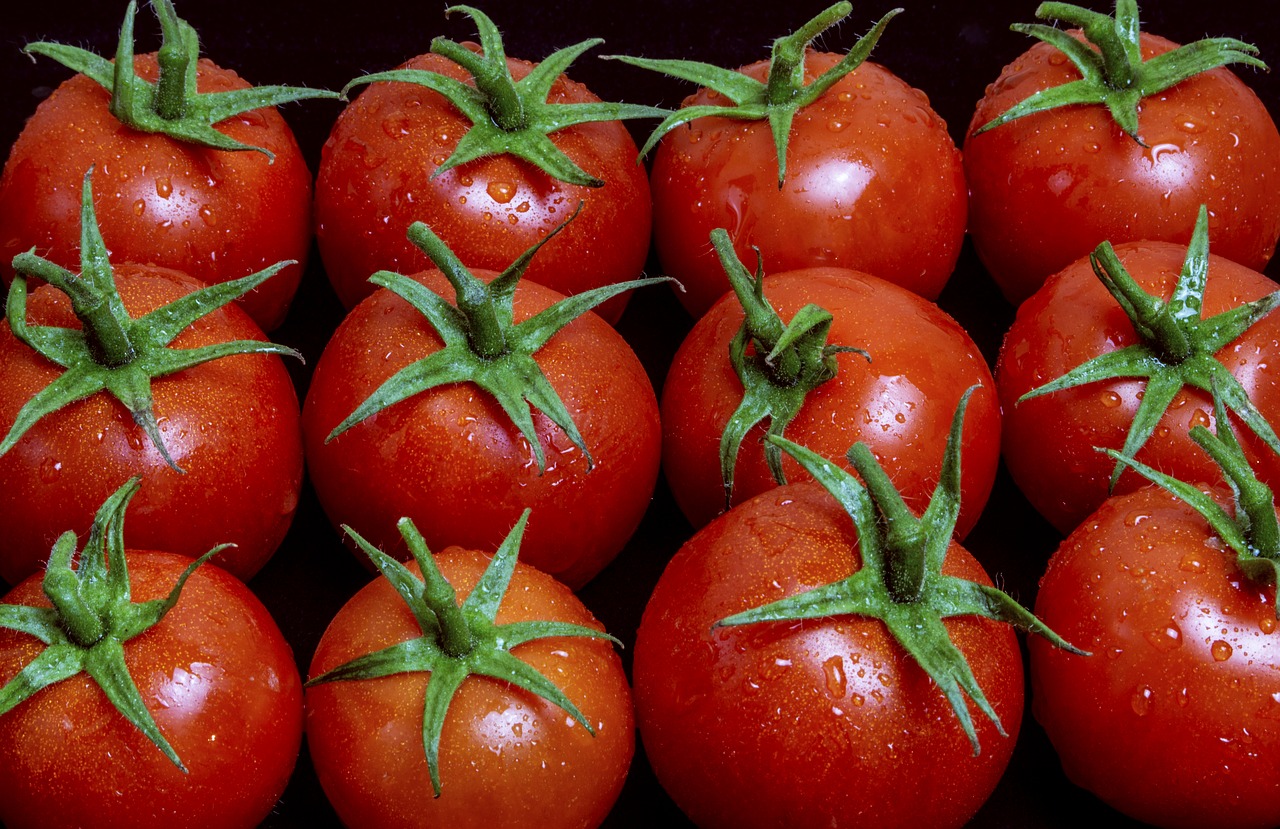 tomatoes  eat  vegetables free photo