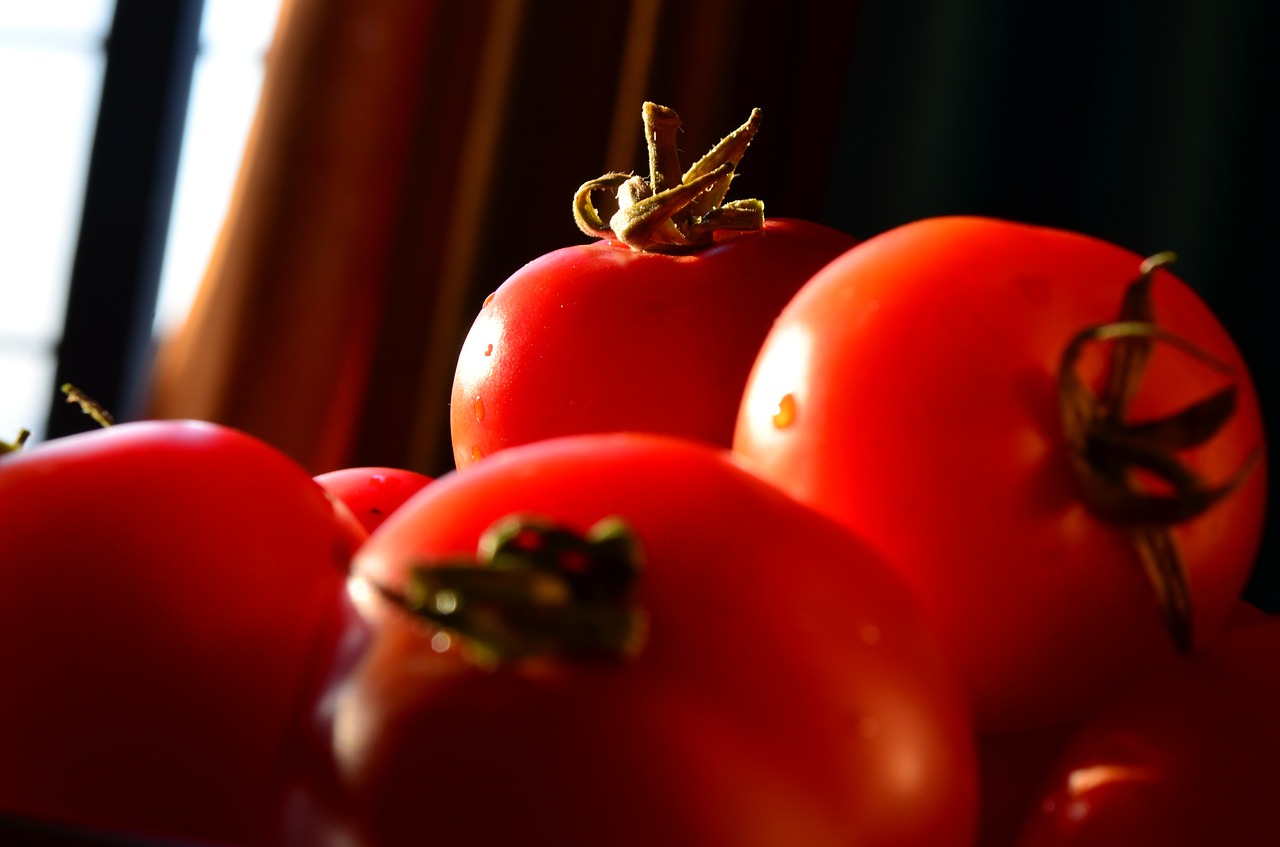 tomatoes vegetables food free photo