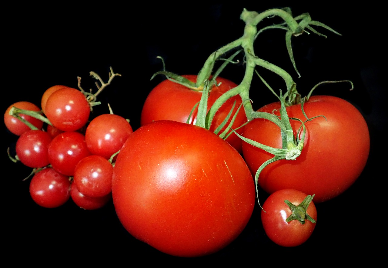 tomatoes  food  vegetables free photo