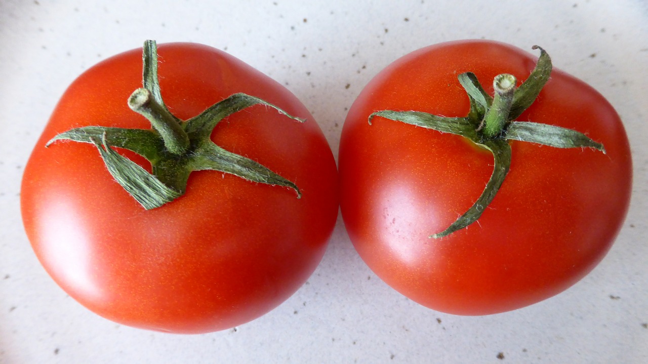 tomatoes vegetables red free photo