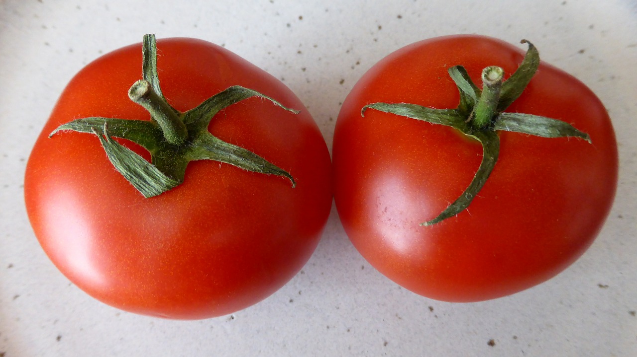 tomatoes red food free photo