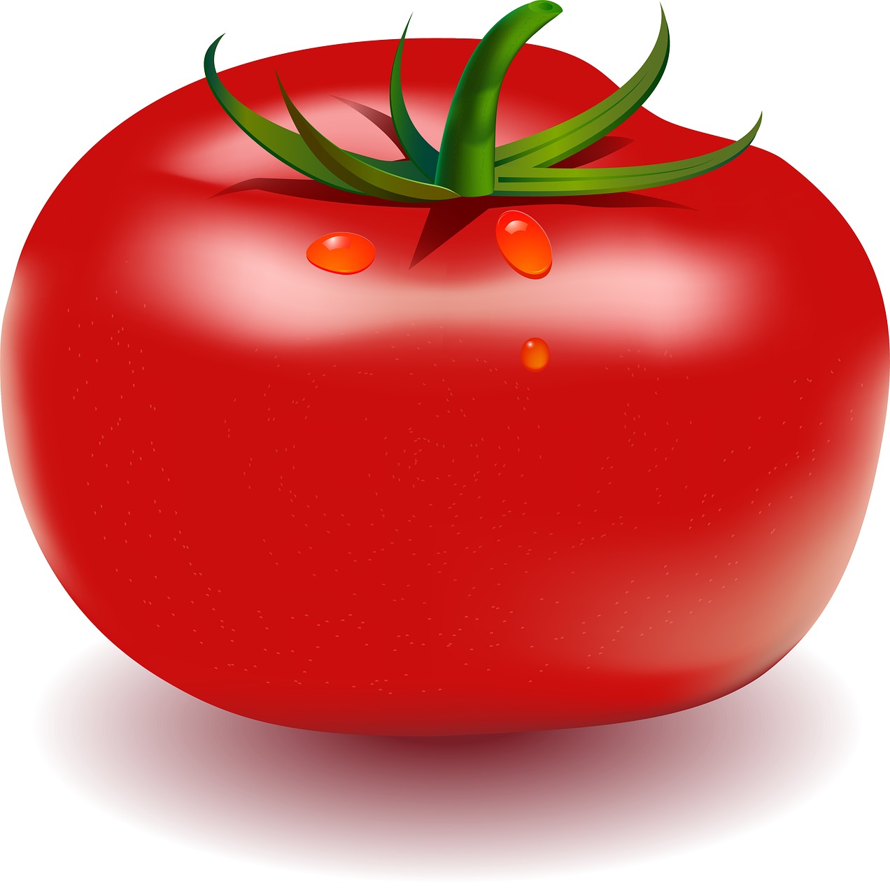 tomatoes  vegetables  fresh free photo