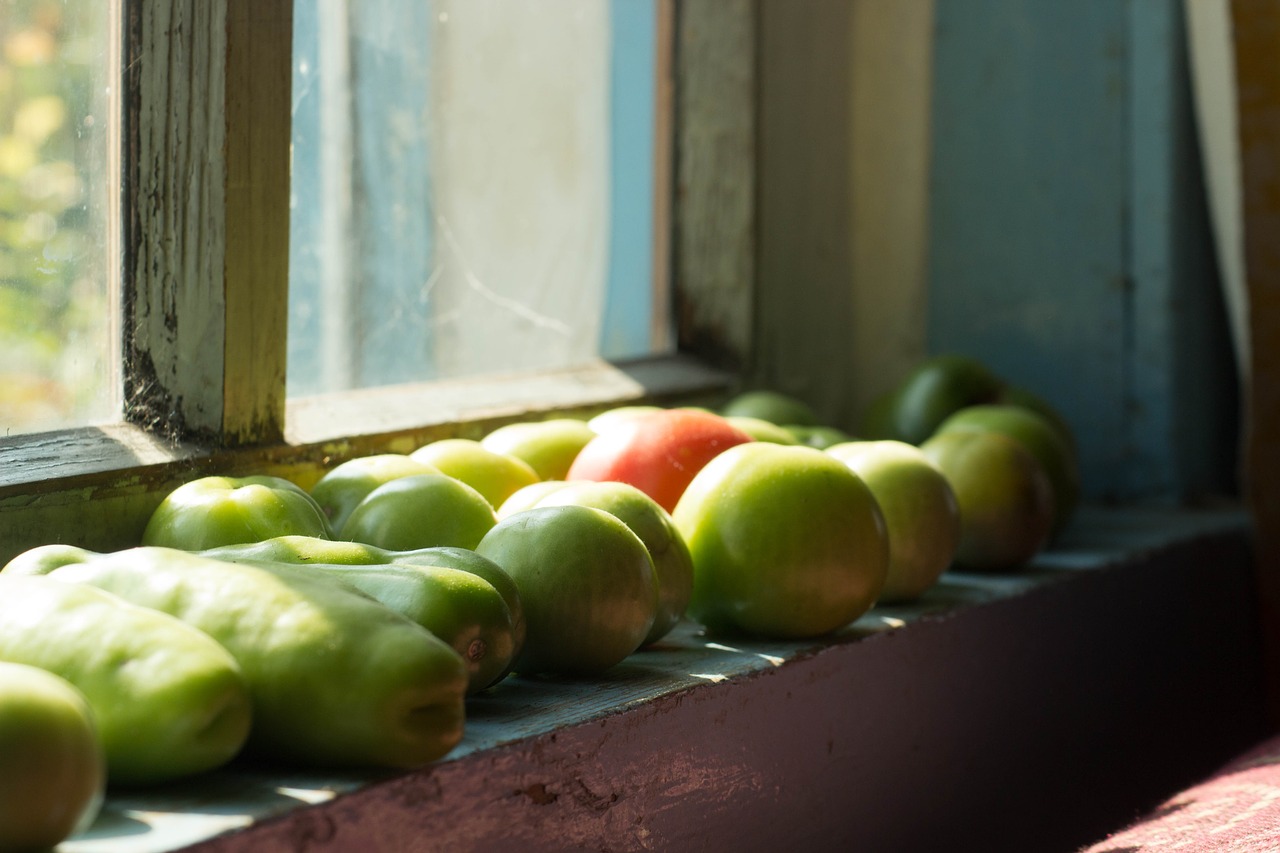 tomatoes  window  nutrition free photo