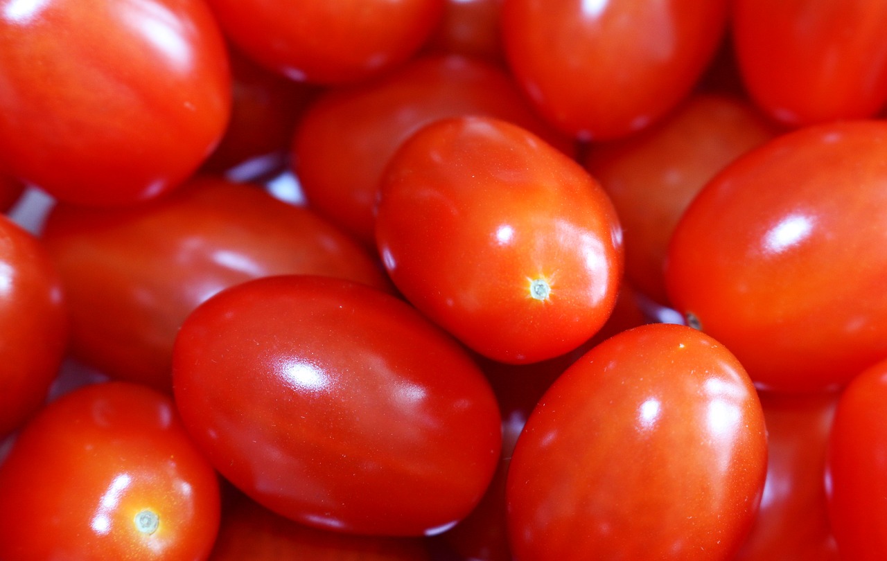 tomatoes  tomatos  red free photo