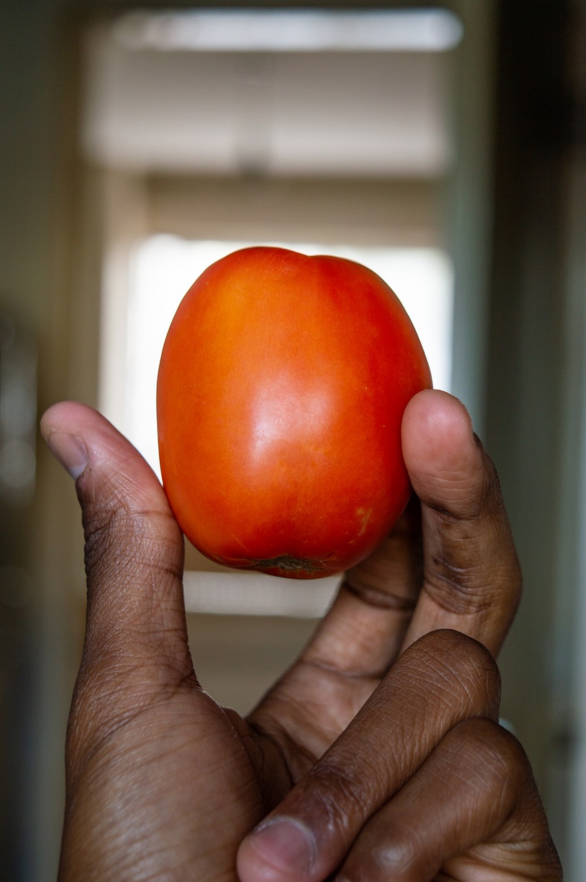 tomatoes  food  eat free photo