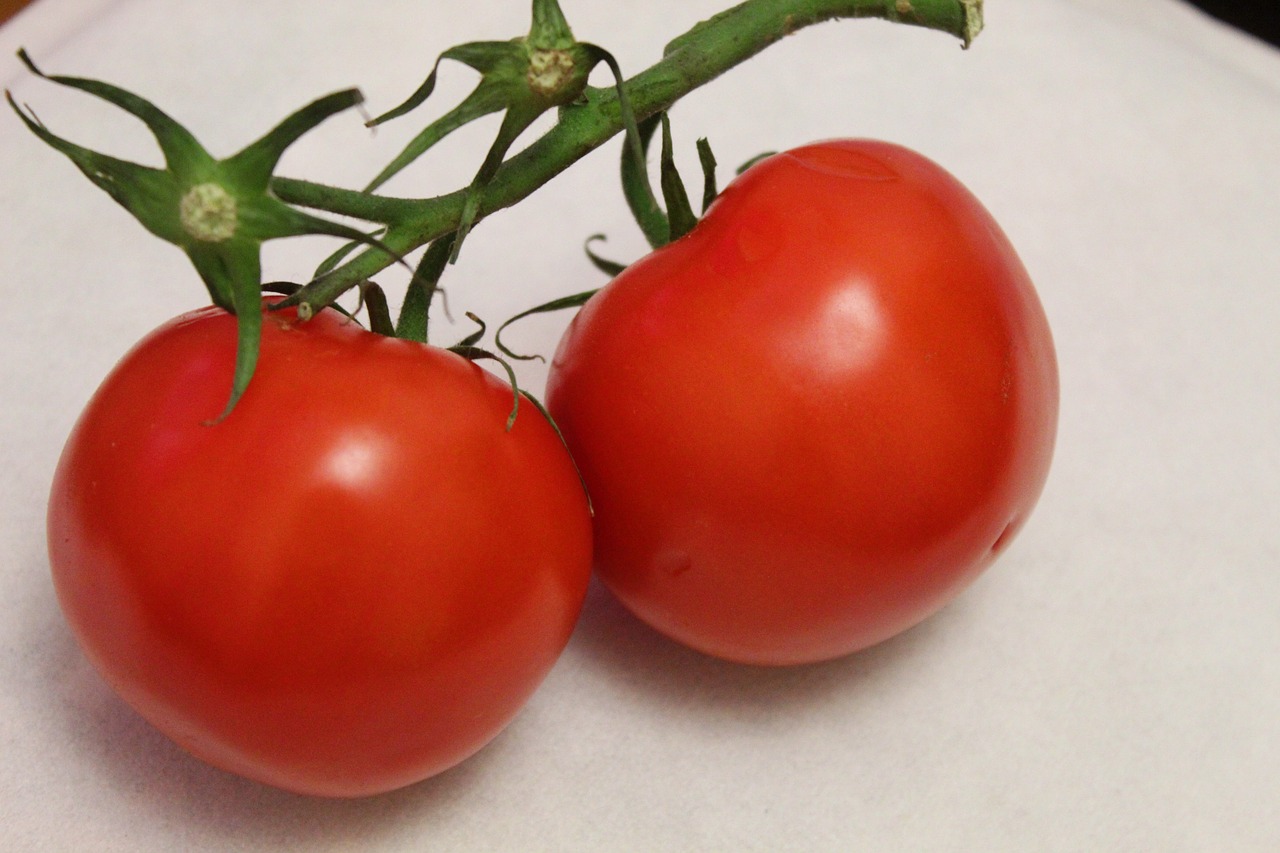 tomatoes  tomato  red free photo