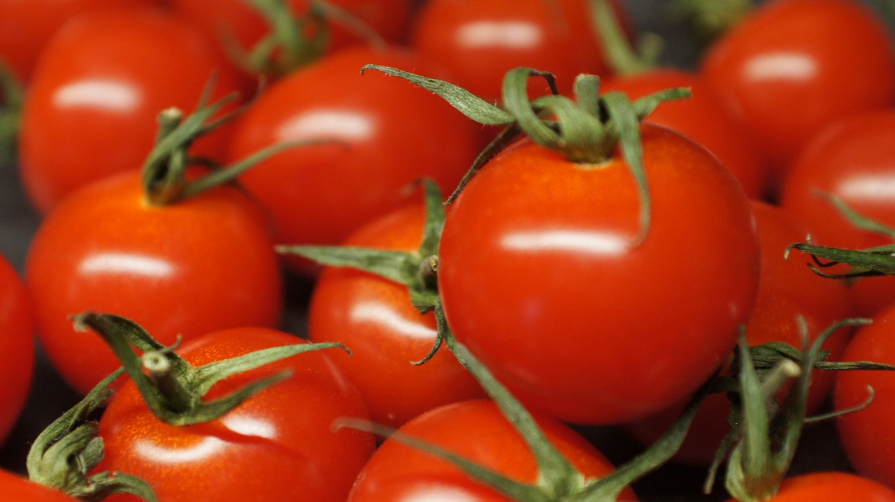 tomatoes  vegetables  red free photo