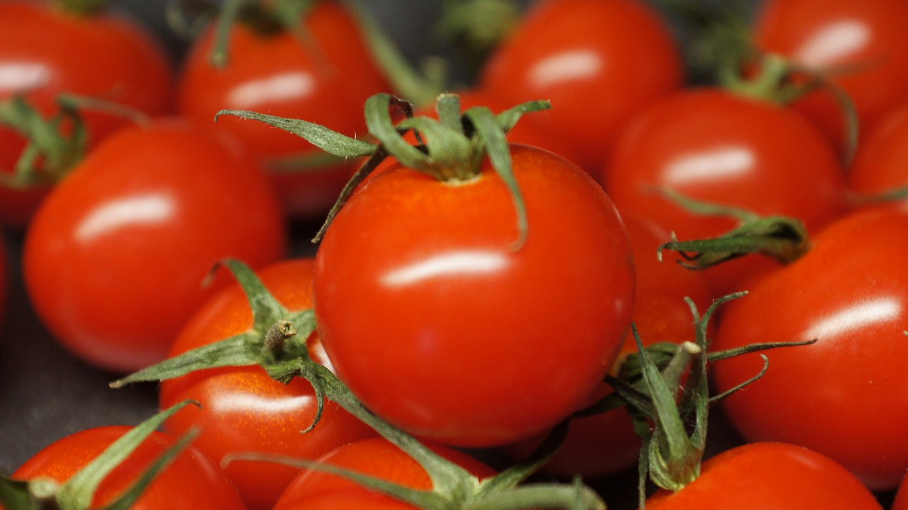 tomatoes  vegetables  red free photo