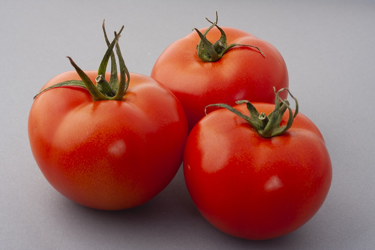 tomatoes  red  fruit free photo