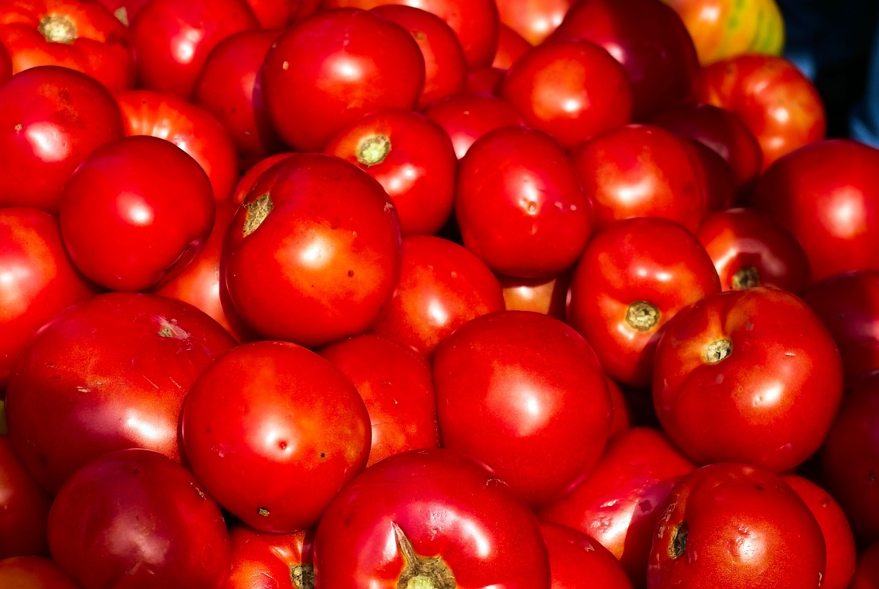 tomatoes  red  food free photo