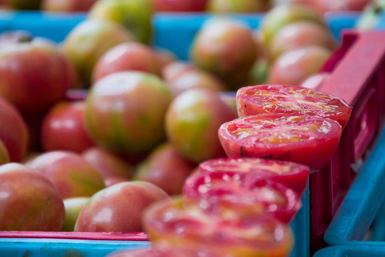 tomatoes  tomato  food free photo