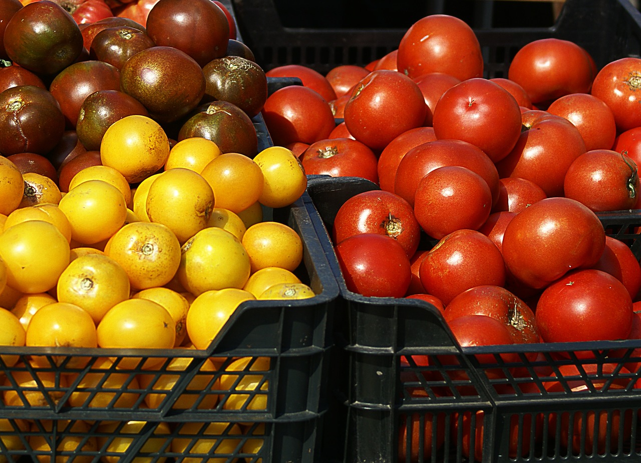 tomatoes variety colorful free photo