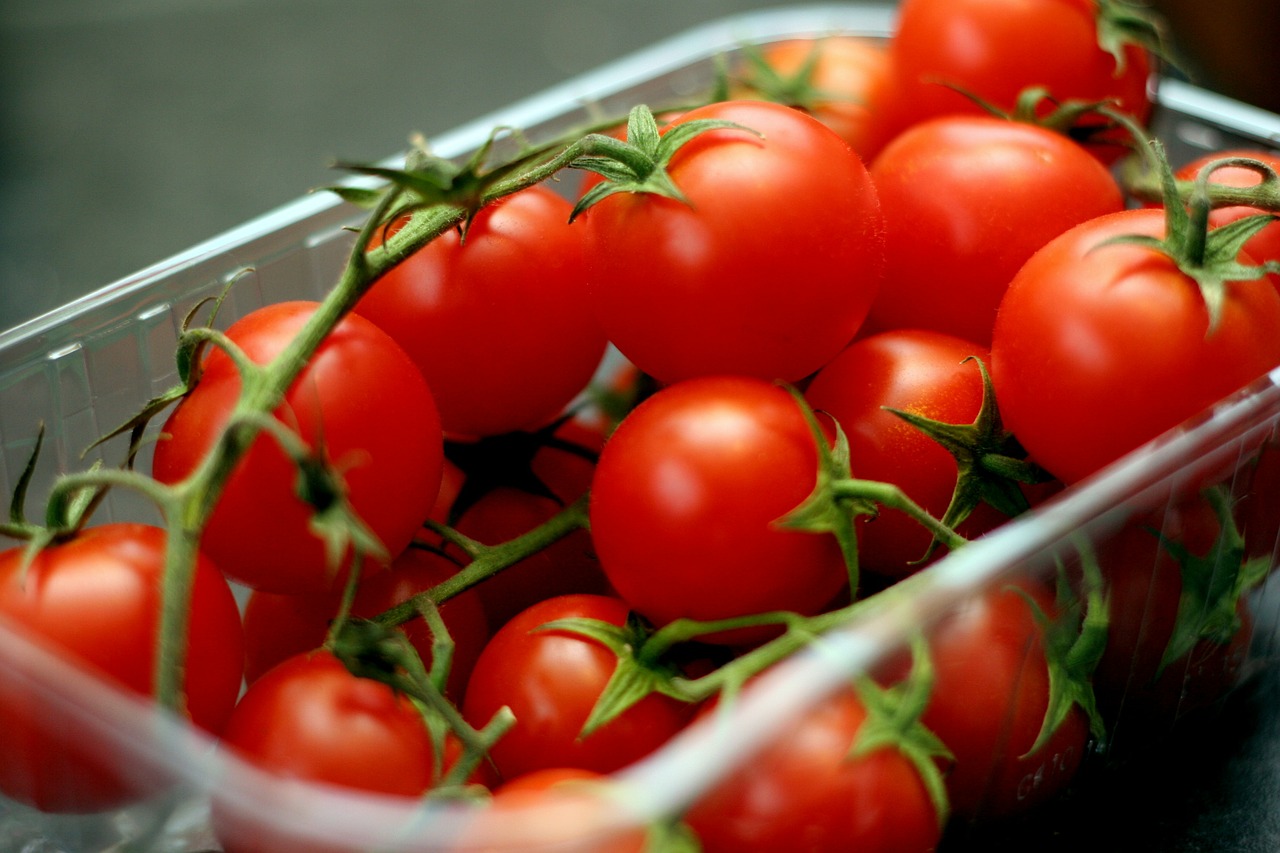 tomatoes tomato vine free photo