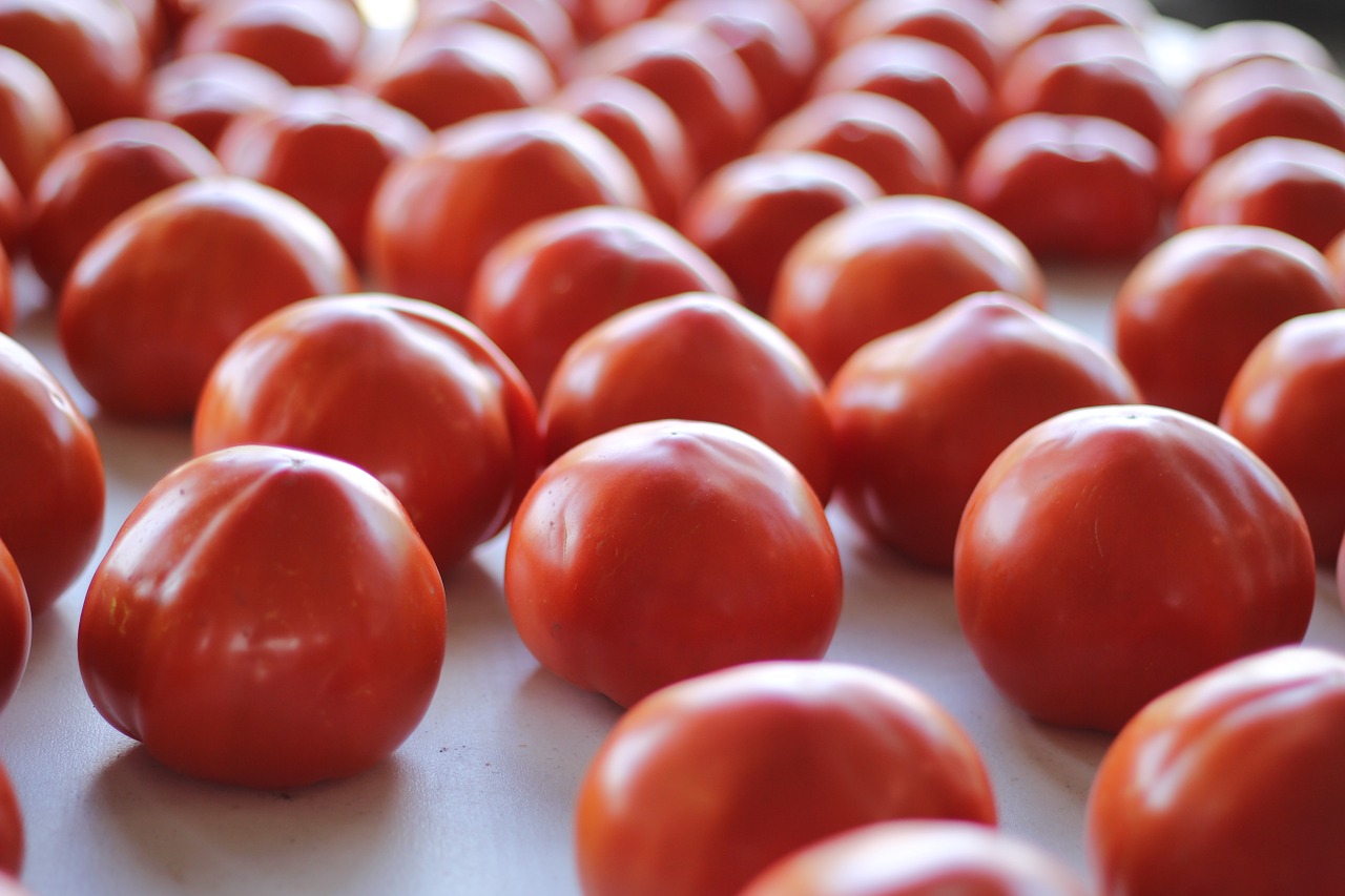 tomatoes farmer market free photo