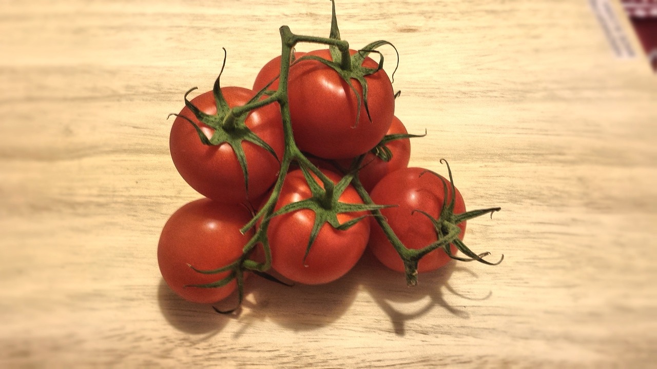 tomatoes red vegetable free photo