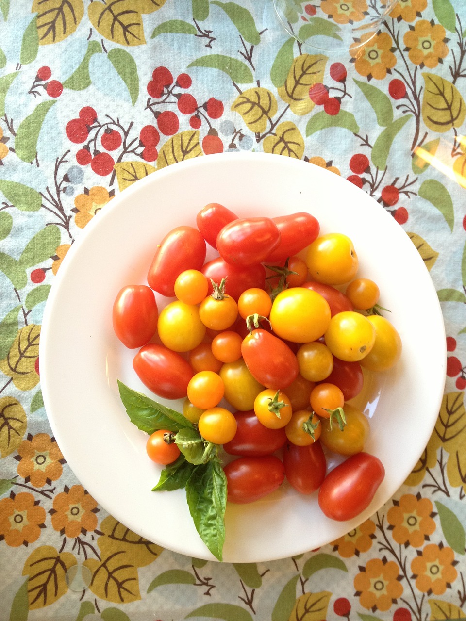 tomatoes cherry tomato fresh free photo