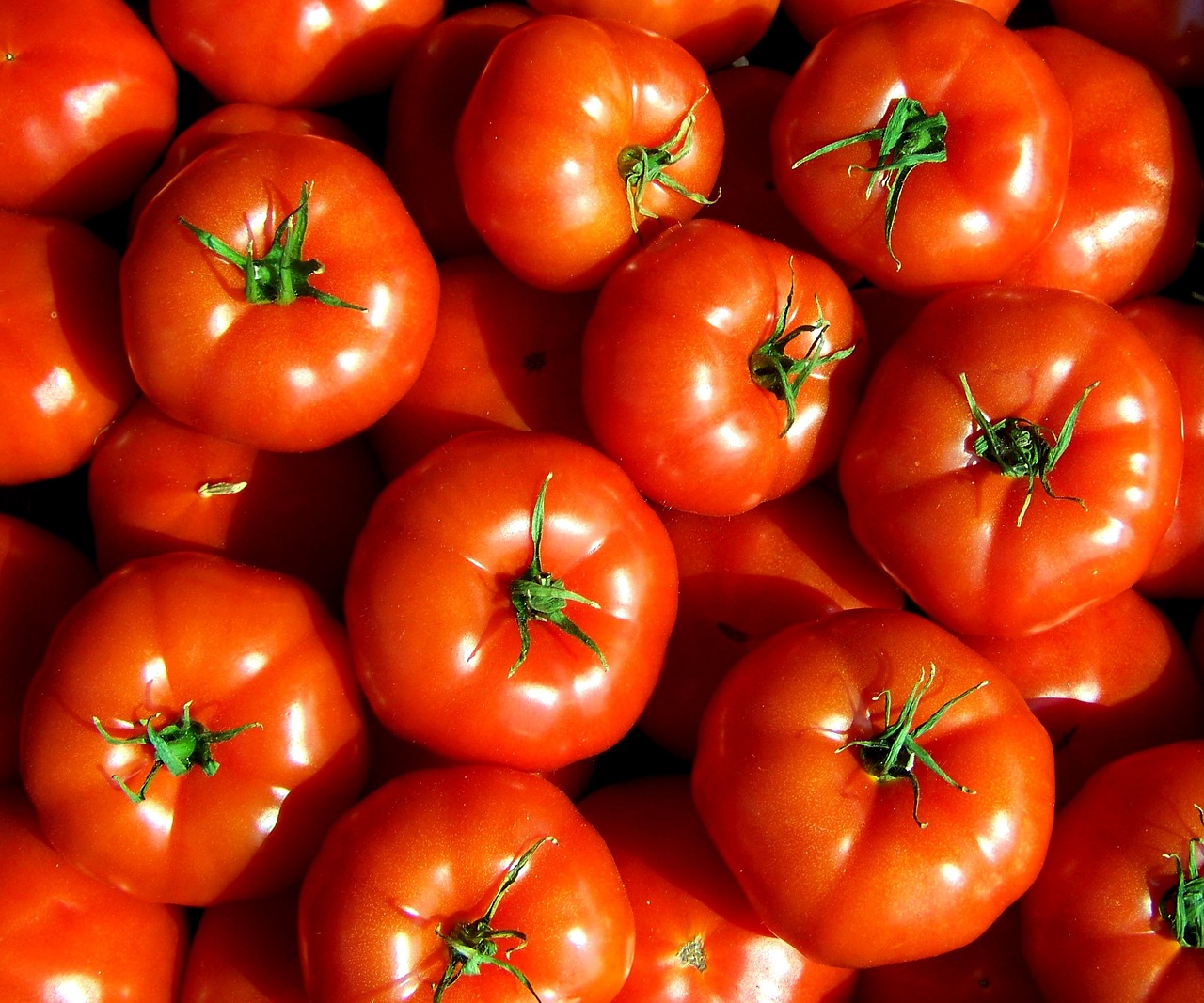 tomatoes red vegetables free photo