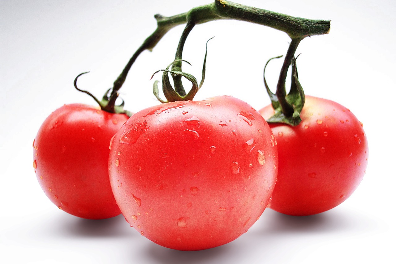 tomatoes red vegetables free photo