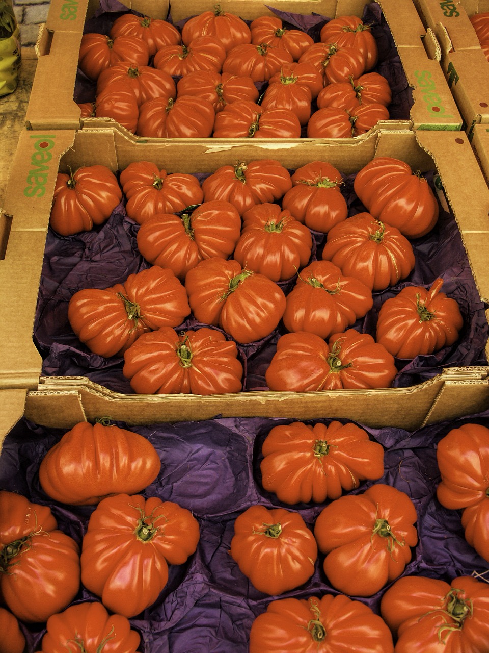 tomatoes bull's heart vegetables free photo